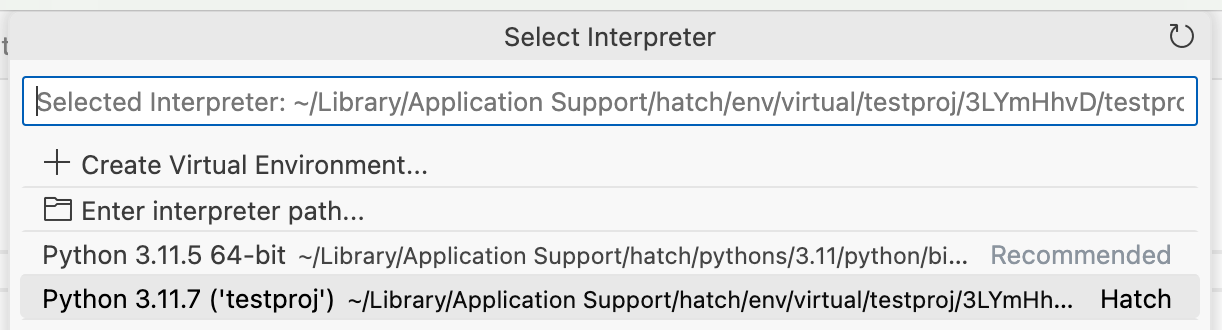 Select interpreter